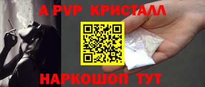ешки Кингисепп