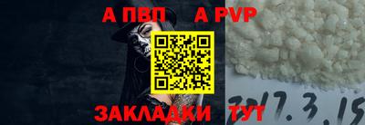 ешки Кингисепп
