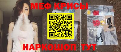 ешки Кингисепп