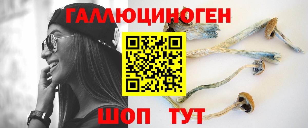 Кострома  Псилоцибиновые грибы Cubensis  Вход с VPN  Псилоцибиновые грибы Magic Shrooms 